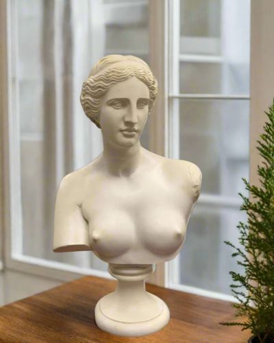 Aphrodite of Milos Venus classical bust displayed as sculptural home decor