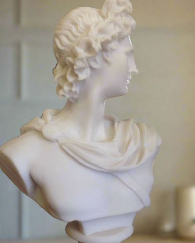 Classic Apollo Belvedere Bust from the Statues.com Museum Art Classics collection