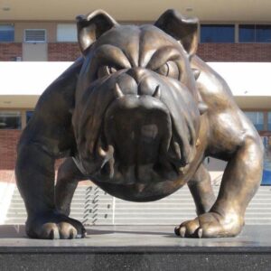 Bronze Bulldog Mascot