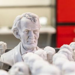 Professional-Lincoln