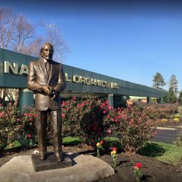 And-How-Do-I-Begin-custom-statues-page-background