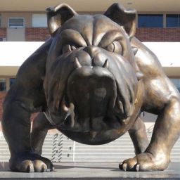 Bronze-Bulldog-Mascots-A-Symbol-of-Strength-and-Loyalty