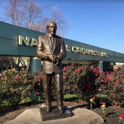 The-Significance-of-Custom-Bronze-Statues-in-Modern-Decor